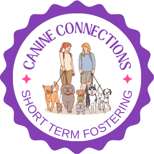 Canine Connections